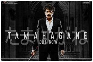 ది ఘోస్ట్‌లో నాగార్జున వాడిన ‘తమ హగనే’ అర్థమేంటో తెలుసా?