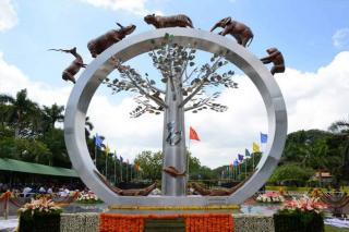 హైదరాబాద్: సింహాలు ఆరోగ్యంగా ఉన్నాయని నెహ్రూ జూ పార్క్ స్పష్టం చేసింది