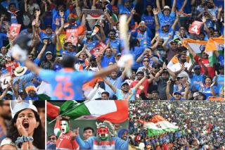 Cricket Euphoria In City Reaches A Crescendo In Last Over Thriller