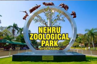60వ వసంతంలోకి అడుగిడిన హైదరాబాద్ జూ
