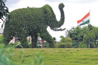 Green drive for more lung space in Hyderabad