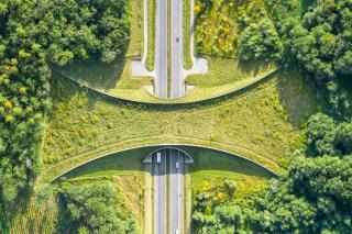 Telangana’s first overpass eco-bridge for wild animals coming up on NH-63