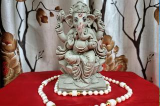 Opt for eco-friendly clay Ganesh idols: Telangana govt